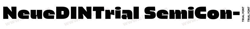 NeueDINTrial SemiCon字体转换